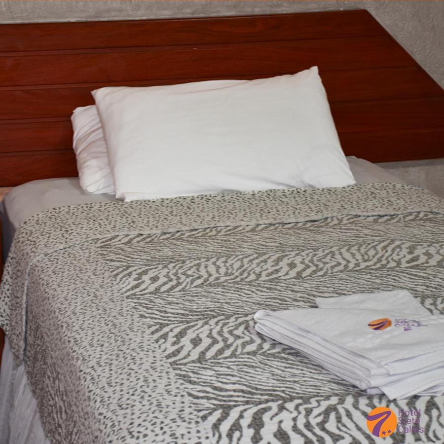 Hotel 7 Calles Санта-Крус-де-ла-Сьерра Экстерьер фото